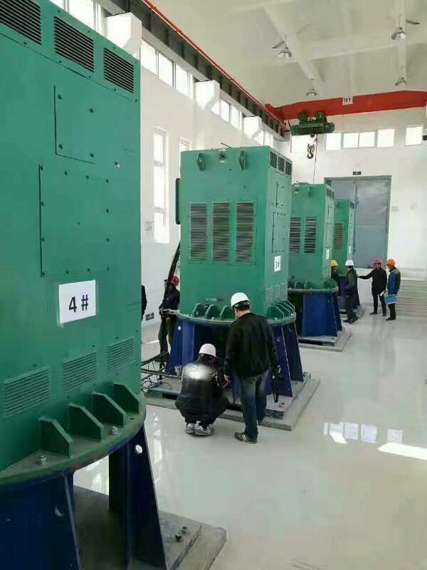 YRKK4502-6某污水处理厂使用我厂的立式高压电机安装现场